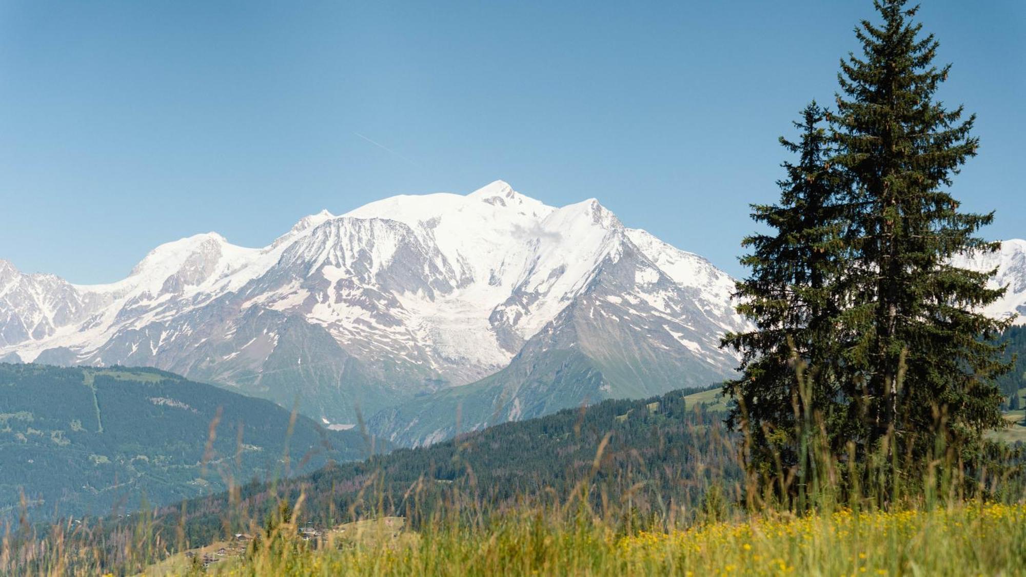 Chalet Alpen Valley, Mont-Blanc Combloux Exteriér fotografie